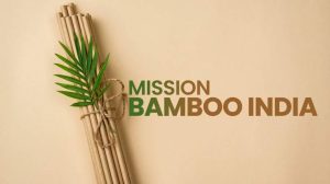 Bamboo India