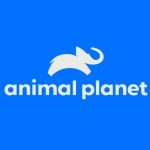 Animal Planet