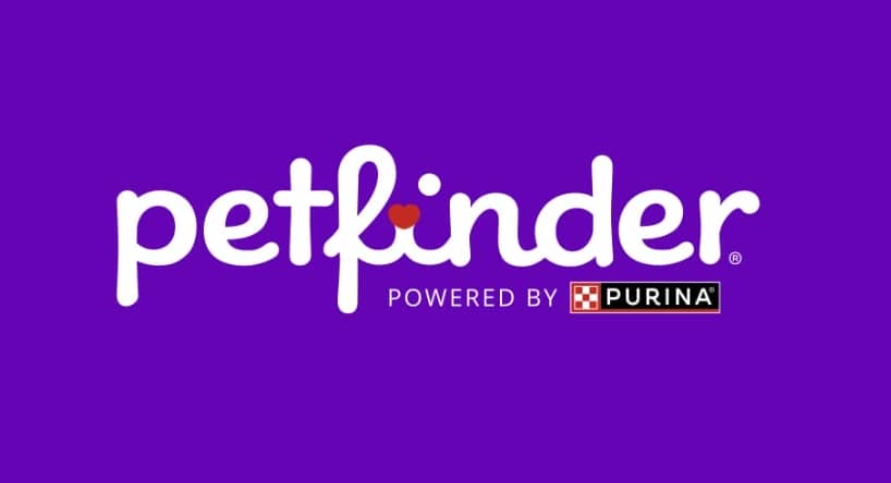 Petfinder