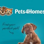 Pets4Homes