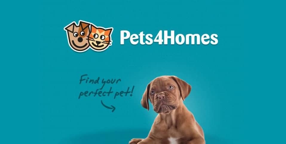 Pets4Homes