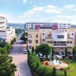 Chitkara University Contact Number