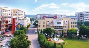 Chitkara University Contact Number