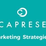 Caprese Bags Customer Care