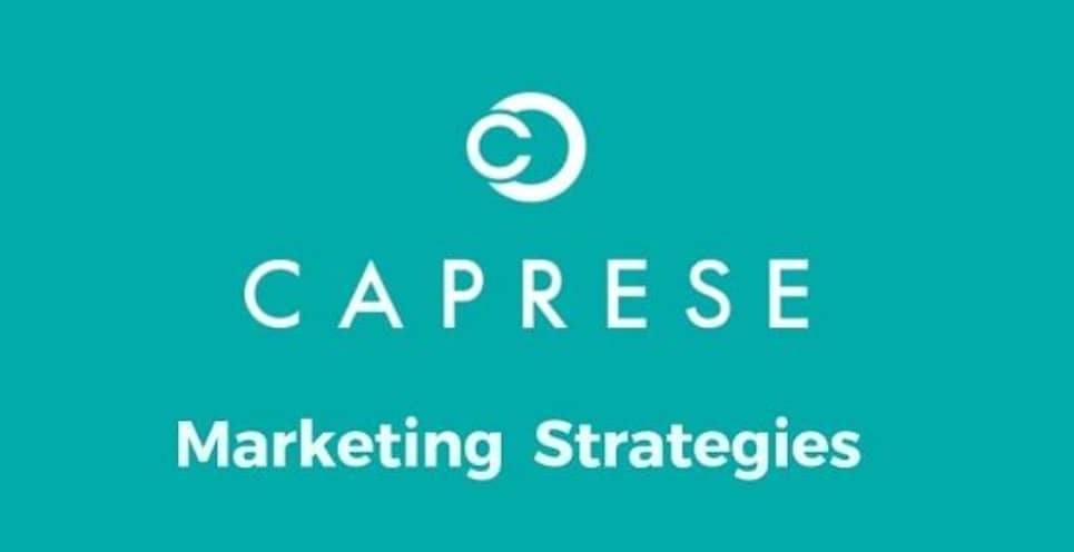 Caprese Bags Customer Care