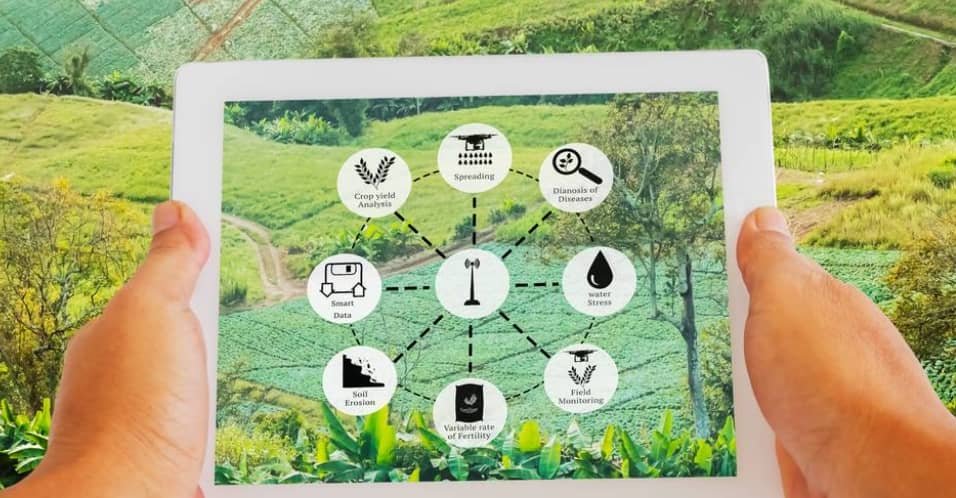 eNam Contact Number eNam Contact Number