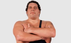 Andre the Giant