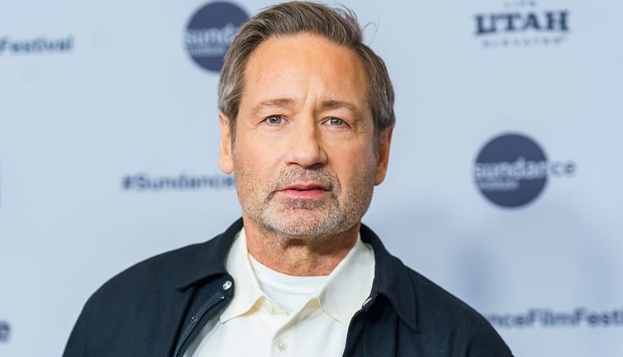 David Duchovny David Duchovny
